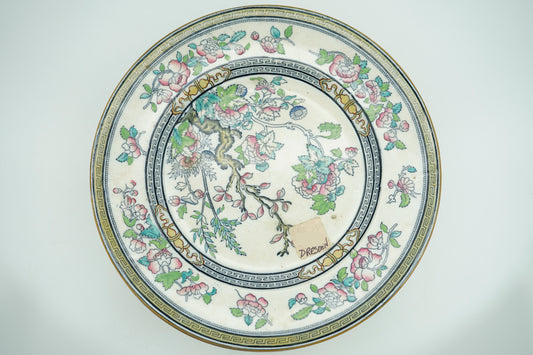 Set of 10 Dresden Porcelain Plates with Floral Pattern